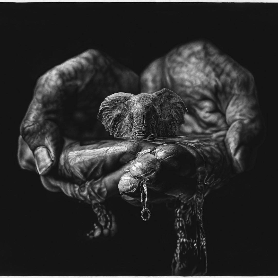 Artist S Giant Pencil Drawings Blur The Line Between Hyperrealism And Surrealism Artfido