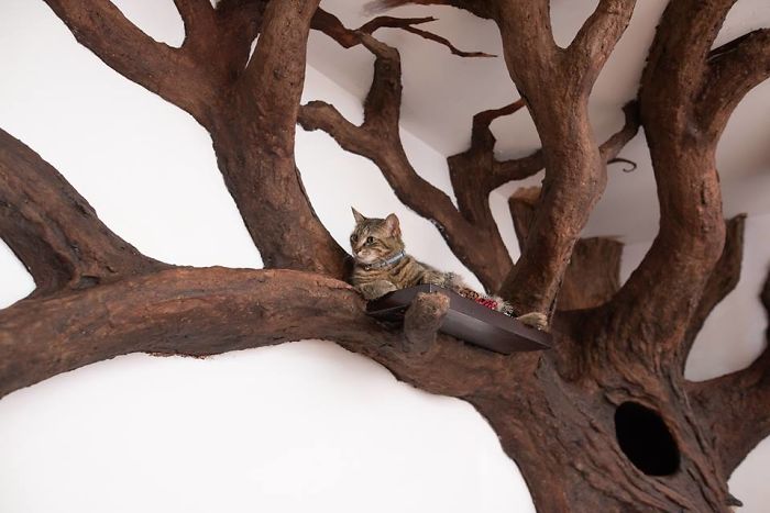 the tree and the cat